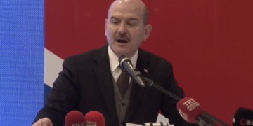80,000 Syrians acquired Turkish citizenship, says Interior Minister Soylu