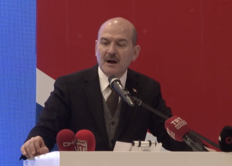 80,000 Syrians acquired Turkish citizenship, says Interior Minister Soylu