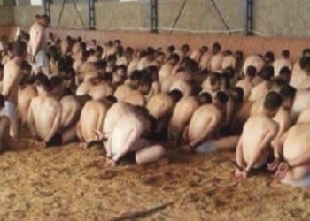 Turkish lieutenant exposes plot in coup bid, tells about torture he endured