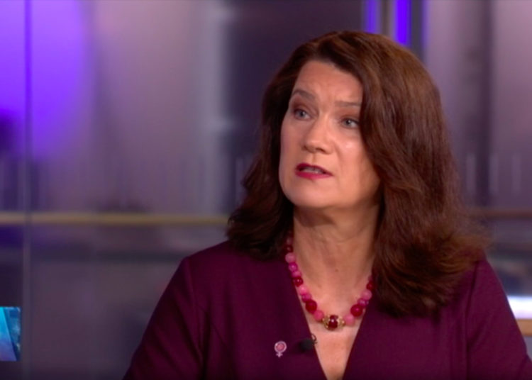 Sweden favors arms embargo on Turkey