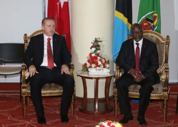 Turkey, Tanzania to work on production of military and defense materiel