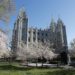 Mormons, US troops face criminal charges over conspiracy alleging attempts to harm Turkey
