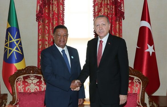 Turkey approves agreement with Ethiopia for cooperation in petroleum and mining