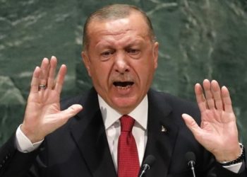 Turkey’s aggressive foreign policy takes toll on Turkish NGOs at the UN 