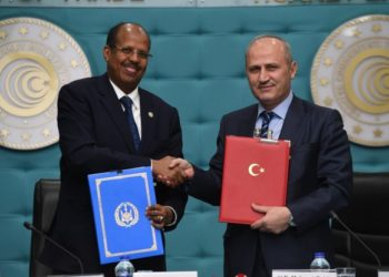 Turkey aiming to take over management of strategic port in Djibouti