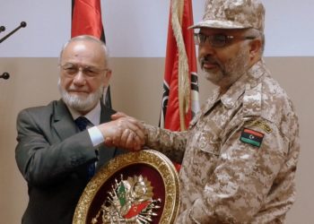 Turkey’s paramilitary contractor SADAT to hold Islamic Union Congress for common defense system