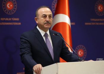 Turkish FM claims Trump, Erdoğan made deal on Libya, US lobbied Europe for Turkish military offensive in Idlib
