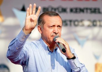 Turkey’s Erdoğan ordered protest rallies against Egypt, tried to mobilize OIC