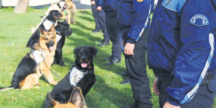 Erdoğan gov’t went after K-9 units, explosives experts who provided security for Obama in Turkey visit