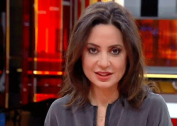 Leading European think tank expert claims there is no systematic torture in Turkey despite reports