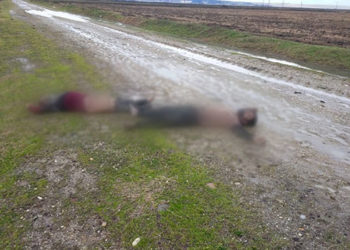 Parliamentary document shows Turkish officials accuse Greece of pushing back migrants to avoid dealing with them