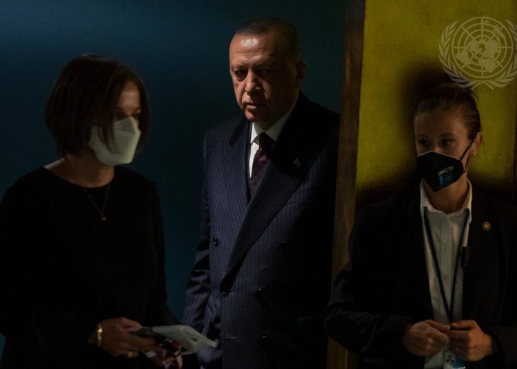 German NGO wants UN’s help in halting cooperation with Turkish intelligence against critics abroad