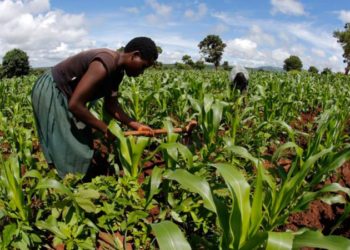 Turkey’s ambitious project in Sudan turns into a fiasco