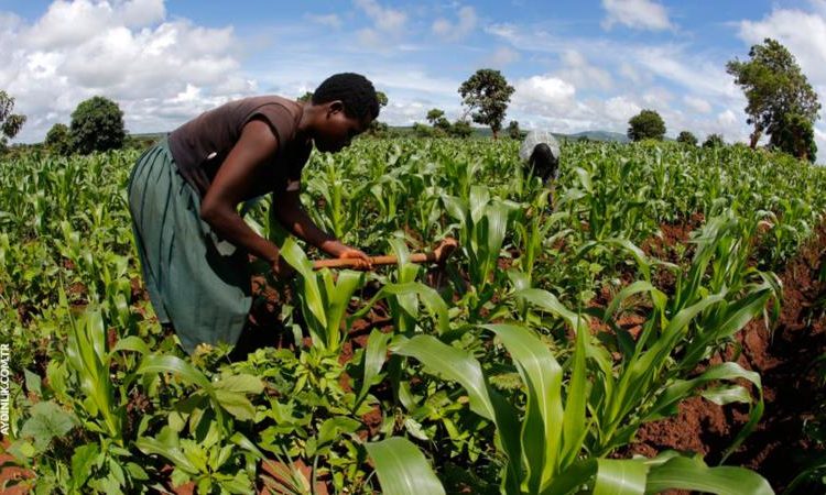 Turkey’s ambitious project in Sudan turns into a fiasco