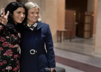 Turkish ambassador claims Swedish MP critical of Turkey is connected to Russian intelligence