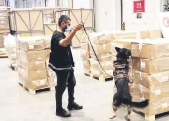 Cocaine trafficking case of Erdoğan associate appears to be a tactic to deflect pressure