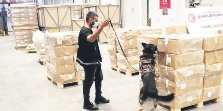 Cocaine trafficking case of Erdoğan associate appears to be a tactic to deflect pressure