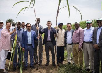 Turkish government acknowledges scandal in ambitious Sudan project: Land not suitable for agriculture