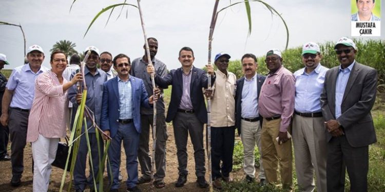 Turkish government acknowledges scandal in ambitious Sudan project: Land not suitable for agriculture