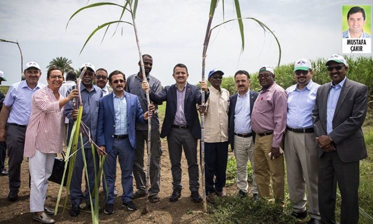 Turkish government acknowledges scandal in ambitious Sudan project: Land not suitable for agriculture