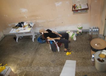 Turkish parliamentary report claims prison conditions in Sweden are worse than in Turkey