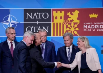 Don’t bother sending us ‘ordinary’ criminals, Turkey tells Sweden