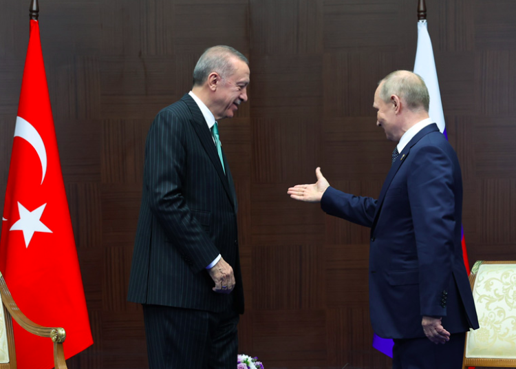 Putin proposes creating natural gas hub in Turkey as a cautious Erdoğan seeks help for 2nd nuclear plant