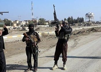 Turkey granted citizenship to Syrian ISIS members whose assets were recently frozen