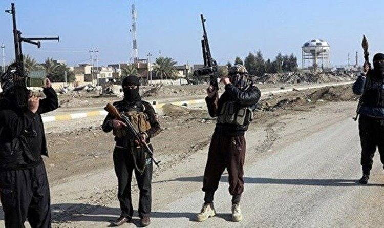 Turkey granted citizenship to Syrian ISIS members whose assets were recently frozen