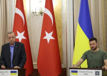 Turkish intelligence tortured arms smuggler after Ukraine secretly handed him over in a coffin