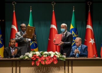 Turkey approved military agreement with Ethiopia amid escalation between Cairo and Addis Ababa