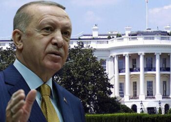 Turkish FM claims Erdogan declined Biden’s invitation to the White House