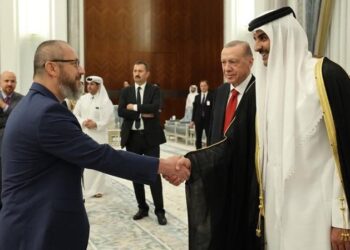 Paramilitary organization linked to Erdogan seeks legislation allowing overseas operations