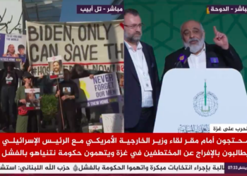 NGO leader affiliated with Turkish Intelligence criticizes Egypt and announces launch of new Mavi Marmara flotilla