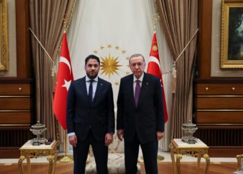 The crisis within Erdogan’s European organization ended with a purge