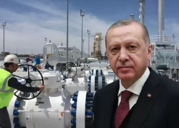 Turkey Wealth Fund led by Erdogan restricts audit to hide corruption