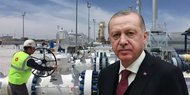 Turkey Wealth Fund led by Erdogan restricts audit to hide corruption