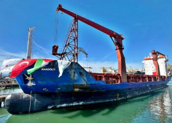 Islamist NGO purchases 3 ships to sail to Gaza, awaits Erdogan’s approval