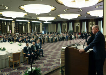 Erdogan acknowledges internal conflict within his party’s European organization, stands behind new team