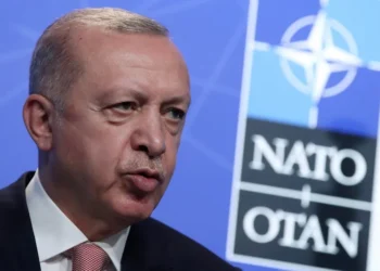 Erdogan seeks lifting of unofficial embargoes on Turkey at NATO summit