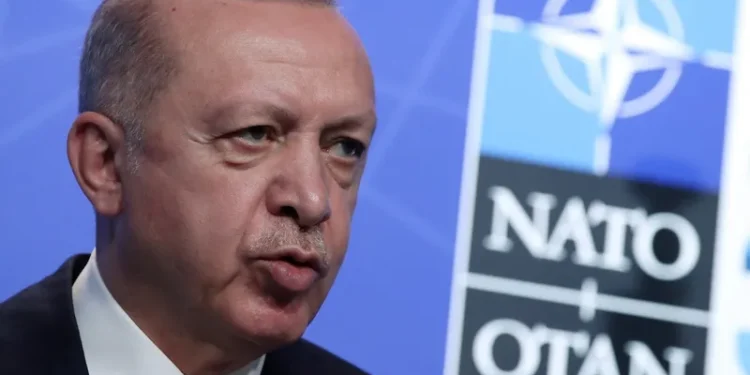 Erdogan seeks lifting of unofficial embargoes on Turkey at NATO summit