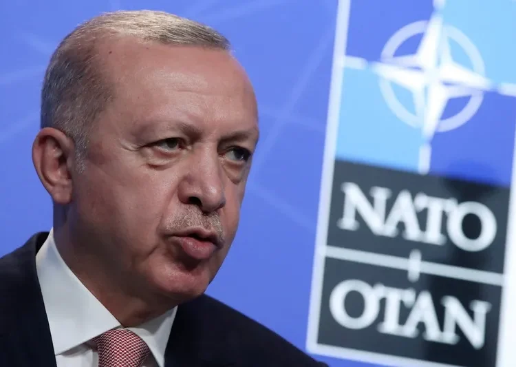 Erdogan seeks lifting of unofficial embargoes on Turkey at NATO summit