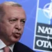 Erdogan seeks lifting of unofficial embargoes on Turkey at NATO summit