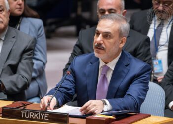 From intelligence to armed operations, transformation of Turkey’s foreign ministry sparks global concerns