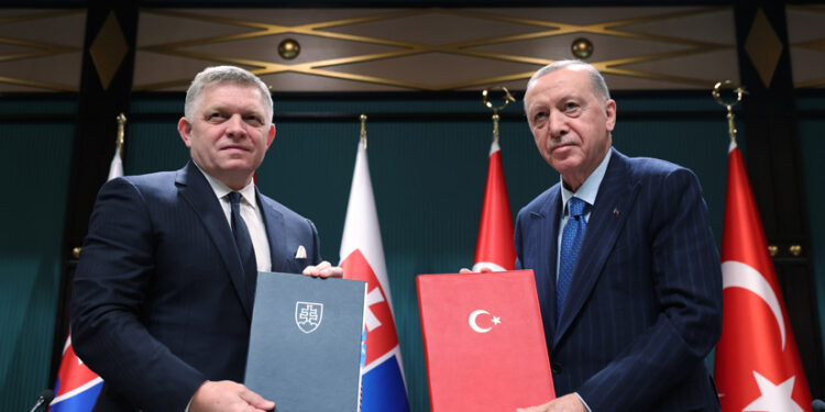 Turkey to position itself as potential Russian gas transit hub for Europe despite sanctions