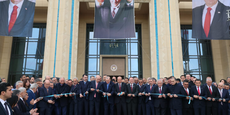 Turkey struggles to counter EU-Cyprus gains among ‘brother states’