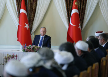 Erdogan continues to support Brotherhood ties to shape his image among Muslims