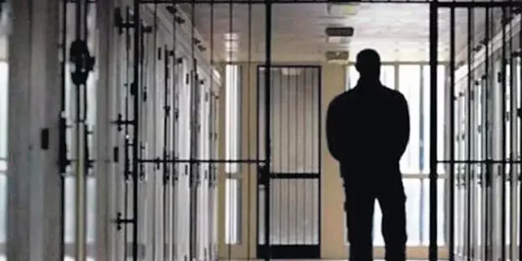 Turkey’s prison population reaches historic high under Erdogan’s rule