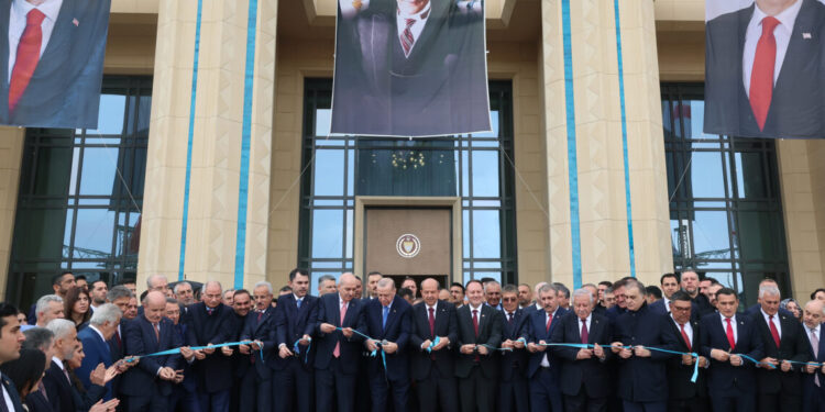 Erdogan pushes for northern Cyprus election win amid allegations of interference and mafia links