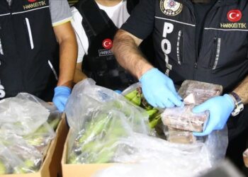 Report finds Turkey bridging cocaine routes between continents amid mafia and state collaboration